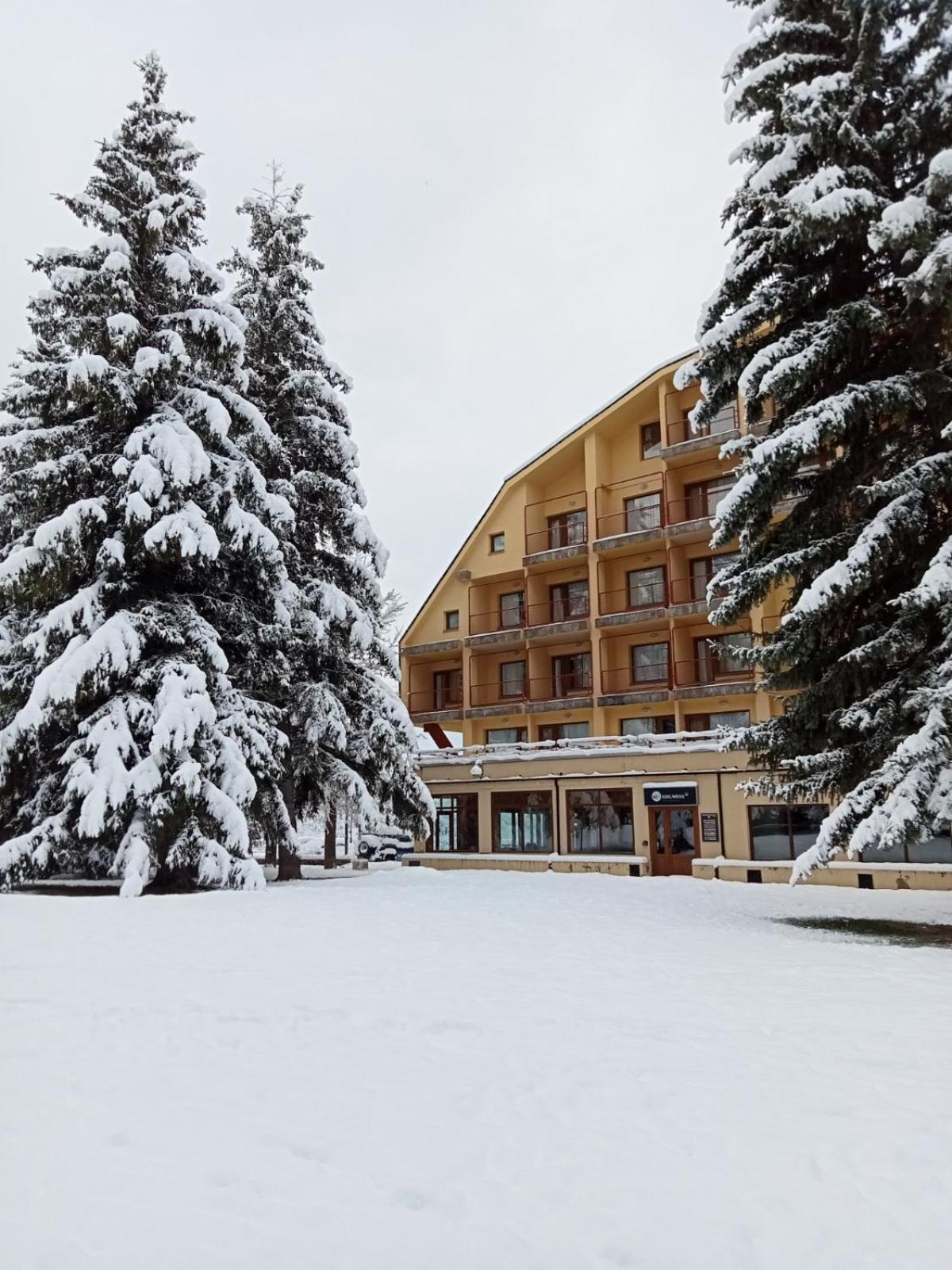 Apartamentos Snoe Edelweiss 세르러 외부 사진